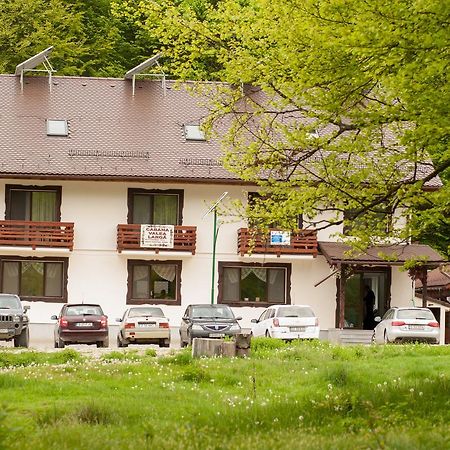 Berevoesti Cabana Barlogul Lupilorヴィラ エクステリア 写真
