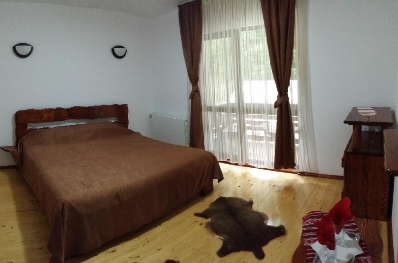 Berevoesti Cabana Barlogul Lupilorヴィラ 部屋 写真