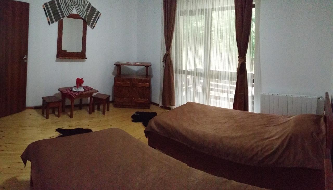 Berevoesti Cabana Barlogul Lupilorヴィラ エクステリア 写真