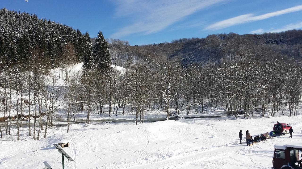 Berevoesti Cabana Barlogul Lupilorヴィラ エクステリア 写真