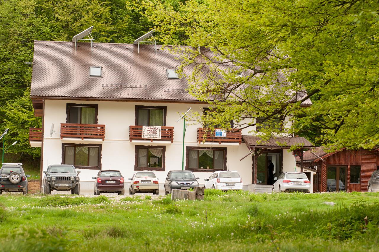 Berevoesti Cabana Barlogul Lupilorヴィラ エクステリア 写真